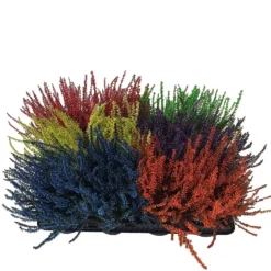 None Heather Mix -Green Decor Hub Sales Store 12804629 1574898246769774