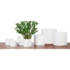 White Plant Pot - 14cm -Green Decor Hub Sales Store 12807868 2014831954347081