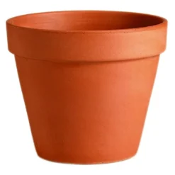 Terracotta Plant Pot - 11cm