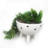 Trailing Plant In White Pot With Legs -Green Decor Hub Sales Store 12833718 6054831603897446