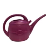 Watering Can Fuchsia Pink - 10L -Green Decor Hub Sales Store 12836031 1544831883548674