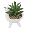 Artificial Alpaca Spikey Succulent -Green Decor Hub Sales Store 12879279 1444858347936702