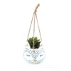 Novelty Animal Hanging Planter - Fox -Green Decor Hub Sales Store 12879281 1174843708807350