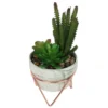 Artificial Succulent In Rose Gold Stand -Green Decor Hub Sales Store 12879282 4604858348076790