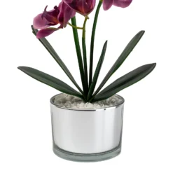 Orchid With Silver Glass Pot - Purple -Green Decor Hub Sales Store 12879285 1054864281948609