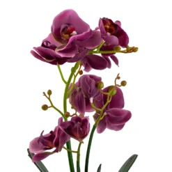 Orchid With Silver Glass Pot - Purple -Green Decor Hub Sales Store 12879285 2084864281975504