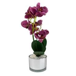 Orchid With Silver Glass Pot - Purple -Green Decor Hub Sales Store 12879285 4804864281923592