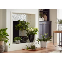 Regent Glazed Urn Planter - 39cm -Green Decor Hub Sales Store 12885370 7534948242967890