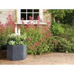 Slate Hexagon Planter - 21cm 5 Slate Hexagon Planter - 21cm -Green Decor Hub Sales Store 12889538 1954843677076152