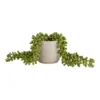 House Beautiful String Of Pearls In Ceramic Pot -Green Decor Hub Sales Store 12890040 1854882114529067