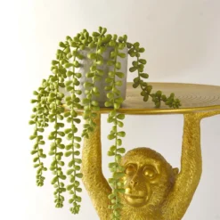 House Beautiful String Of Pearls In Ceramic Pot -Green Decor Hub Sales Store 12890040 1924857412804110
