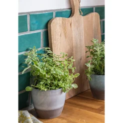 Hampton Moon Ceramic Pot - 14cm -Green Decor Hub Sales Store 12890772 2414909731227802