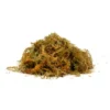 New Zealand Sphagnum Moss - Jumbo -Green Decor Hub Sales Store 12890901 2134843694722155