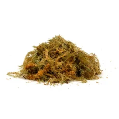 New Zealand Sphagnum Moss - Jumbo