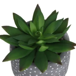 Small Succulent - Grey -Green Decor Hub Sales Store 12909500 1734869235660464