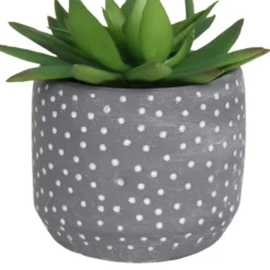 Small Succulent - Grey -Green Decor Hub Sales Store 12909500 2024869235581411