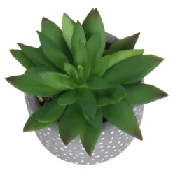 Small Succulent - Grey -Green Decor Hub Sales Store 12909500 2074869235539126