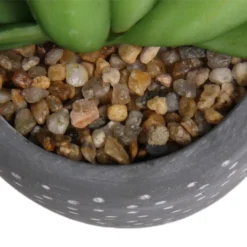 Small Succulent - Grey -Green Decor Hub Sales Store 12909500 5574869235621944