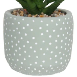 Small Succulent - Green -Green Decor Hub Sales Store 12909501 1514869235621446