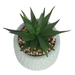 Small Succulent - Green -Green Decor Hub Sales Store 12909501 6844869235562523
