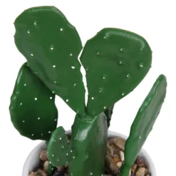 Cactus In Abstract Pot -Green Decor Hub Sales Store 12909502 1344869235594629