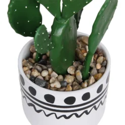 Cactus In Abstract Pot -Green Decor Hub Sales Store 12909502 2094869235640256