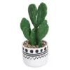 Cactus In Abstract Pot 1 Cactus In Abstract Pot -Green Decor Hub Sales Store 12909502 7774869235493475