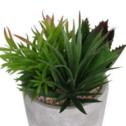 Mixed Succulent In Grey Pot -Green Decor Hub Sales Store 12909503 1064869235639350