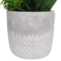 Mixed Succulent In Grey Pot -Green Decor Hub Sales Store 12909503 2114869235721745