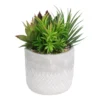 Mixed Succulent In Grey Pot -Green Decor Hub Sales Store 12909503 7774869235513008