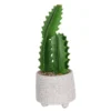 Cactus In Textured Pot -Green Decor Hub Sales Store 12909506 1524869235473324