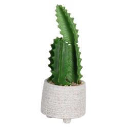 Cactus In Textured Pot -Green Decor Hub Sales Store 12909506 2004869235513296