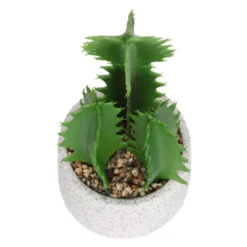 Cactus In Textured Pot -Green Decor Hub Sales Store 12909506 2804869235539384
