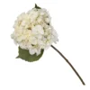 Hydrangea - Creamy Blush -Green Decor Hub Sales Store 12913562 7914845851793924