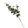 Eucalyptus - Green -Green Decor Hub Sales Store 12913566 1204845851947653