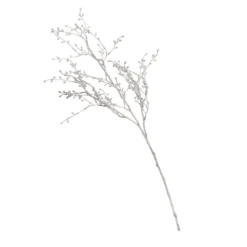 Silver Branch