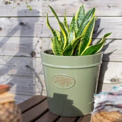 Country Living Heritage Sage Cone Pot - 27cm -Green Decor Hub Sales Store 13188759 7524933183217370