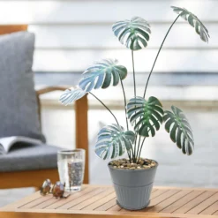 Ribbed Planter (3 Colour Mix) - 12cm -Green Decor Hub Sales Store 13193954 4474933504214550