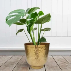 Hammered Brass Indoor Plant Pot - 16cm -Green Decor Hub Sales Store 13887185 1304999810003221