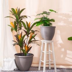 Ashford Planter Slate 45cm 12 Ashford Planter Slate 45cm -Green Decor Hub Sales Store 13928635 1645001956279691