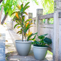 Ashford Planter Grey 35cm -Green Decor Hub Sales Store 13928636 1795001955680876