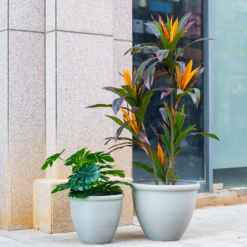 Ashford Planter Grey 35cm -Green Decor Hub Sales Store 13928636 4345001955583745