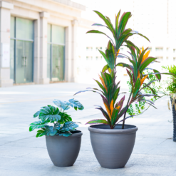 Ashford Planter Grey 45cm -Green Decor Hub Sales Store 13928637 1825001956470968