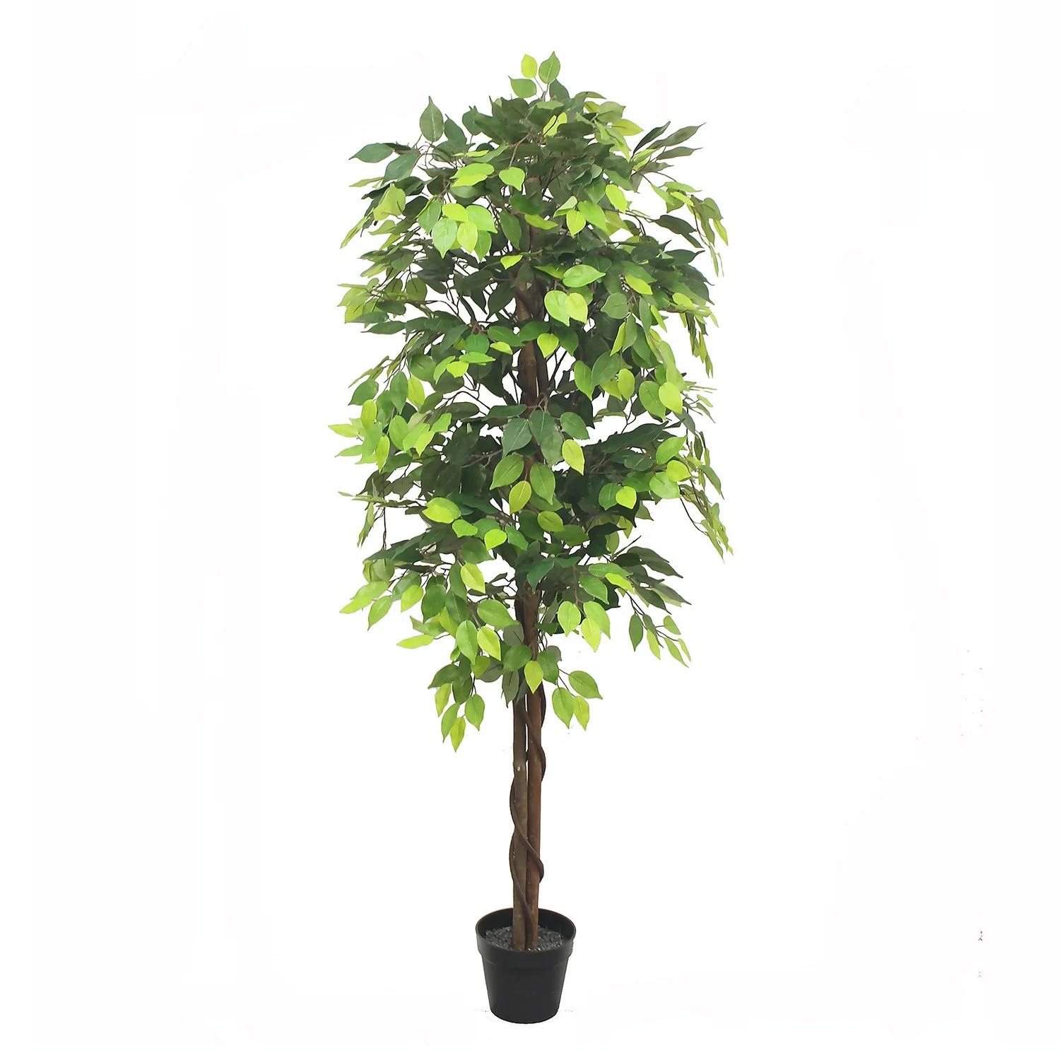 Artificial Ficus Tree - 180cm 3 Artificial Ficus Tree - 180cm