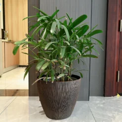 Brown Bark Planter - 38cm -Green Decor Hub Sales Store 13951353 1794987105657215