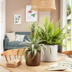 Scheurich Ripple Brown Indoor Pot - 17cm 5 Scheurich Ripple Brown Indoor Pot - 17cm -Green Decor Hub Sales Store 13953254 1924987119750636