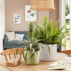 Scheurich Ripple White Indoor Pot - 12cm 7 Scheurich Ripple White Indoor Pot - 12cm -Green Decor Hub Sales Store 13953257 8024987119903048