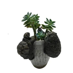 Homebase Animal Pot Hangers - Assorted Designs -Green Decor Hub Sales Store 13955518 1865014596896211