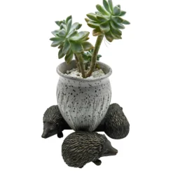 Homebase Hedgehog Pot Feet -Green Decor Hub Sales Store 13955521 1155014597084707