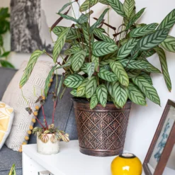 Vintage Allium Patterned Cone Pot - 37cm -Green Decor Hub Sales Store 13973621 6475011239983391